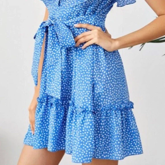 Blue Flutter Sleeve Frill Hemline Trim Dalmatian Dress - Picture 3 of 14